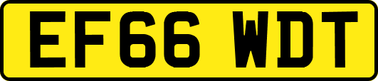 EF66WDT