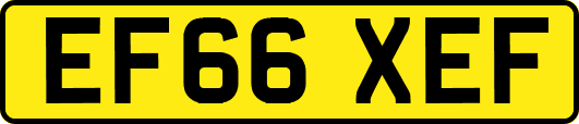 EF66XEF
