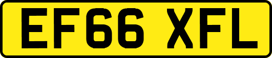 EF66XFL