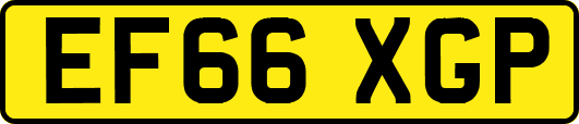 EF66XGP
