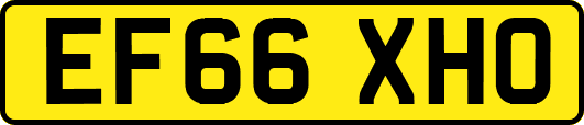 EF66XHO