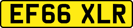 EF66XLR