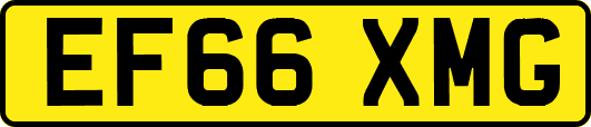 EF66XMG