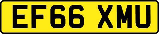EF66XMU