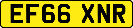 EF66XNR