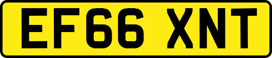 EF66XNT