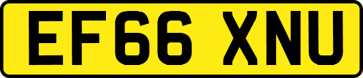 EF66XNU