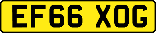 EF66XOG