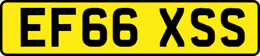 EF66XSS