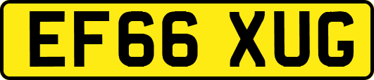 EF66XUG