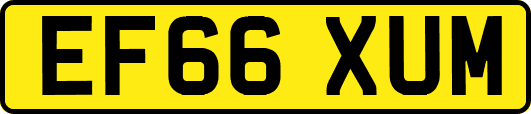 EF66XUM