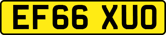 EF66XUO