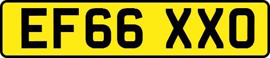 EF66XXO