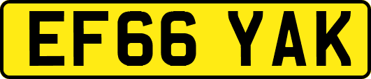 EF66YAK