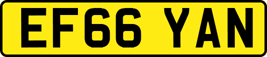 EF66YAN