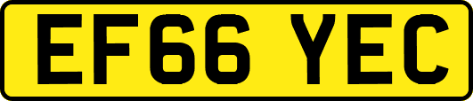 EF66YEC