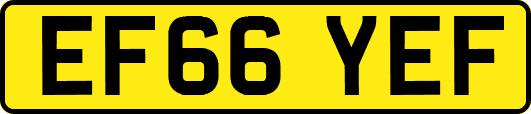EF66YEF