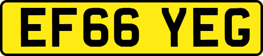 EF66YEG