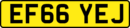 EF66YEJ