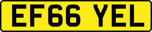 EF66YEL