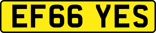 EF66YES
