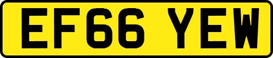 EF66YEW