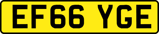 EF66YGE