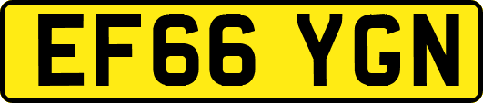EF66YGN