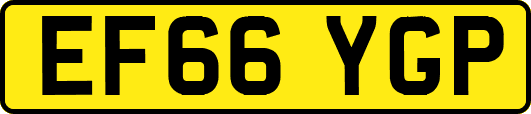 EF66YGP