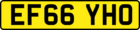 EF66YHO