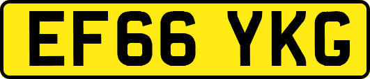 EF66YKG