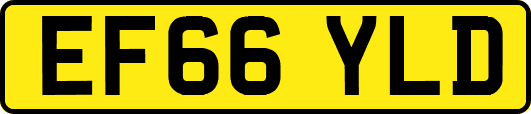 EF66YLD