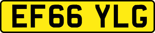 EF66YLG