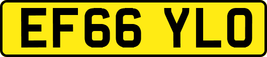 EF66YLO