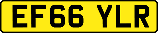 EF66YLR