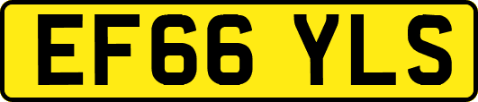 EF66YLS