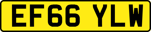 EF66YLW