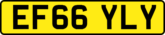 EF66YLY