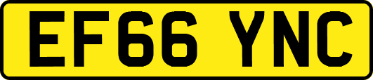 EF66YNC