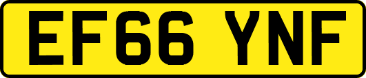 EF66YNF