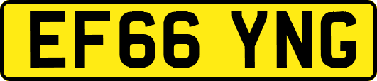 EF66YNG