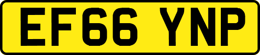 EF66YNP