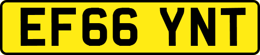EF66YNT