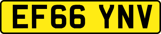 EF66YNV