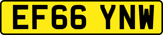 EF66YNW