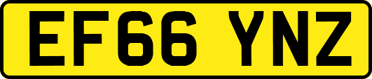 EF66YNZ