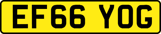 EF66YOG
