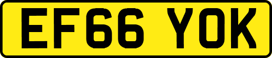 EF66YOK