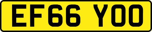 EF66YOO