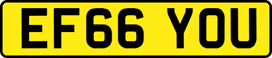 EF66YOU